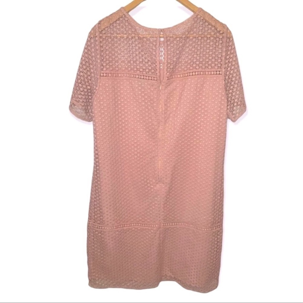 Ann Taylor Crochet Lace Pink Casual Mini Dress​​​ - Picture 3 of 5